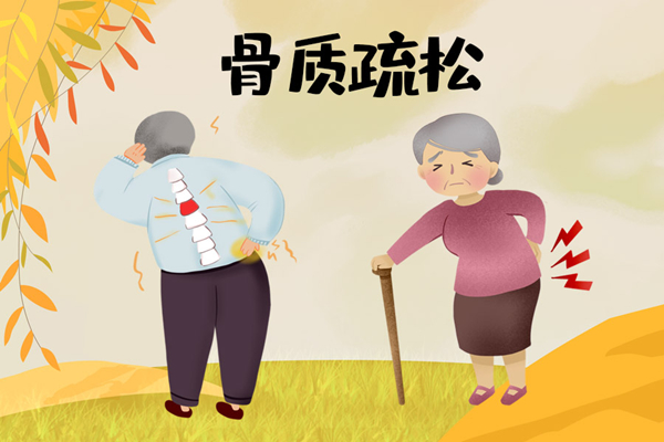 【骨密度测试仪】拒绝骨质疏松症,从骨密度检测开始!