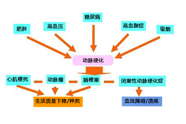  动脉硬化形成之前已暗藏症状，如何提早发现身体出现的信号，做到早发现早预防。